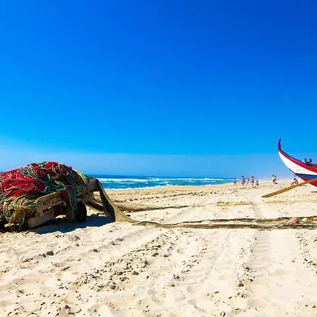 Apartment Alojamento Ferreira