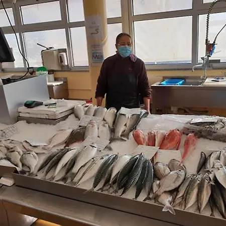 Alojamento Ferreira Apartment Aveiro