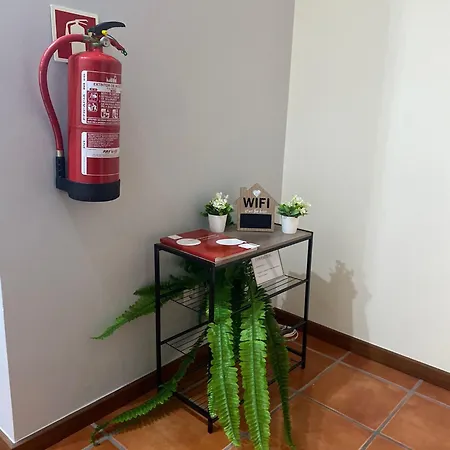Apartamento Ferreira Aveiro