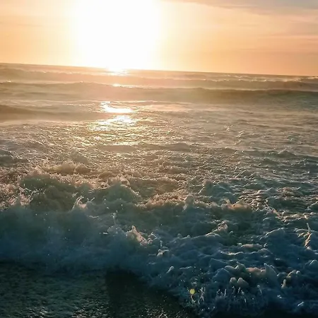 Alojamento Ferreira Apartment