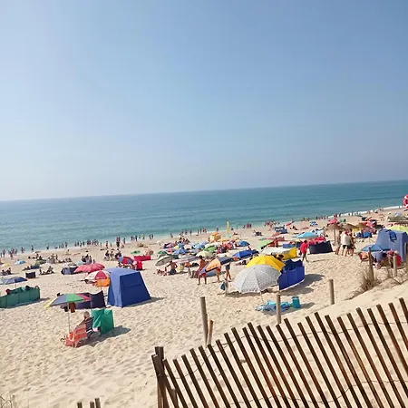 Alojamento Ferreira *