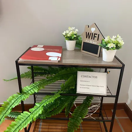 Alojamento Ferreira Apartment