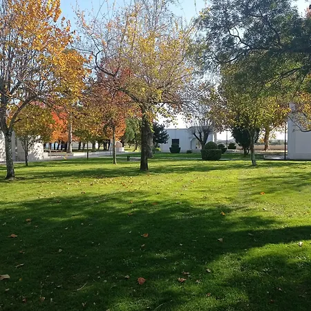 Apartamento Ferreira *