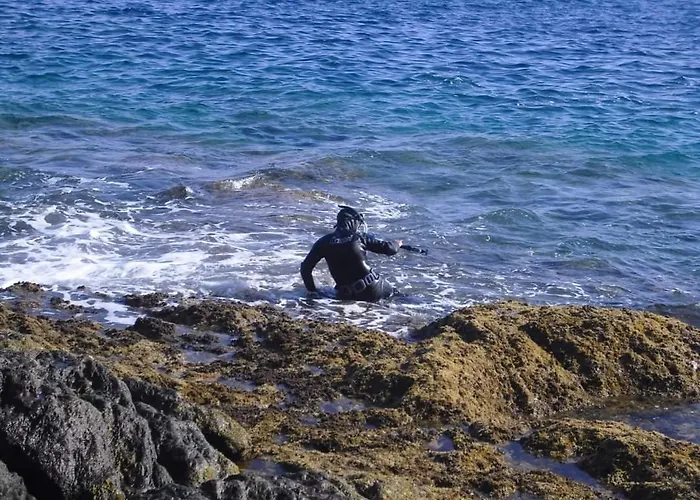 Alojamento Ferreira *