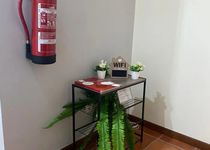 Apartament Alojamento Ferreira Aveiro