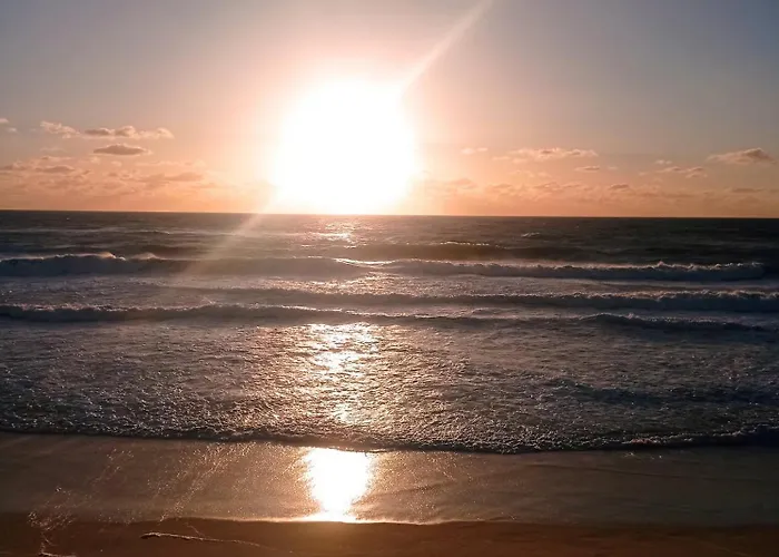 Apartament Alojamento Ferreira *