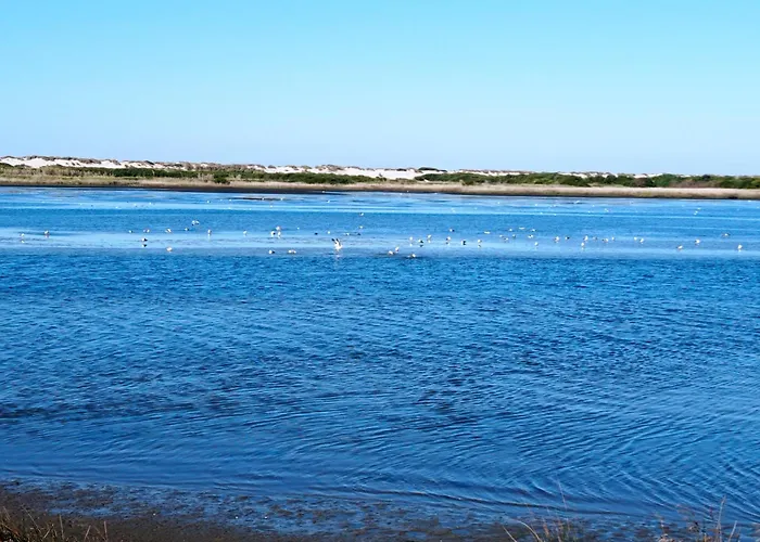 Apartament Alojamento Ferreira Aveiro