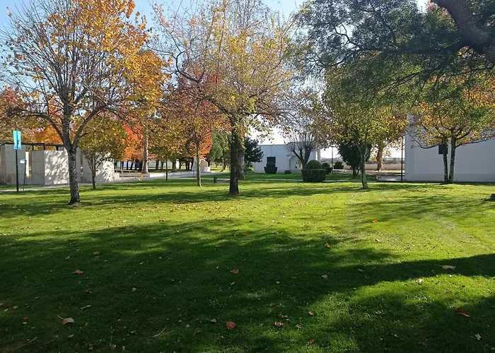 Apartament Alojamento Ferreira *